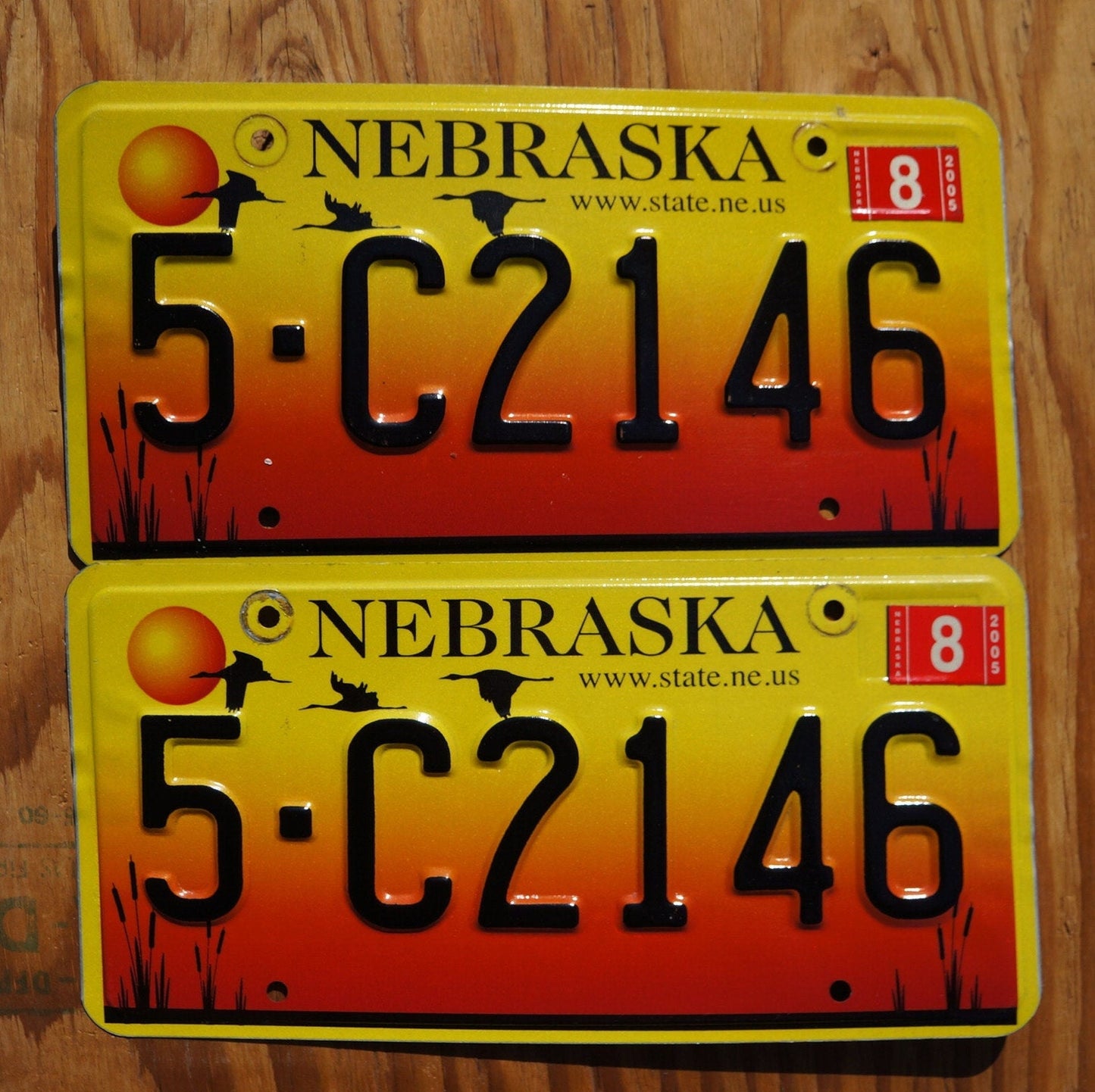 2005 Nebraska GEESE & SUNSET License Plate Pair / Set