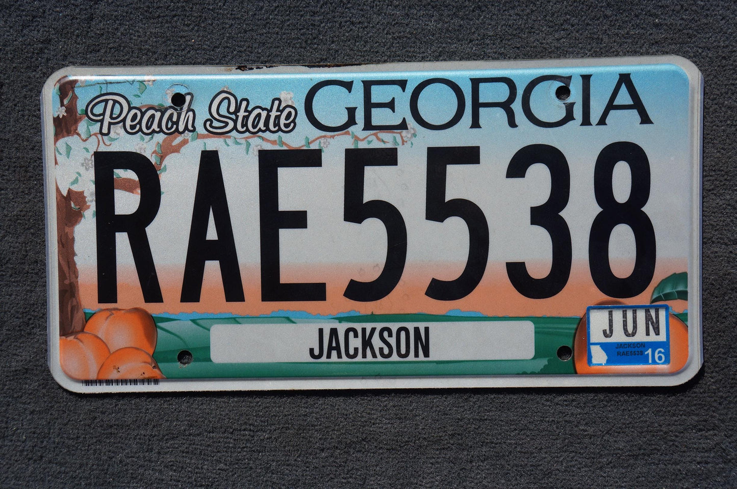 2016 Georgia PEACH STATE Colorful License Plate - RAE 5538