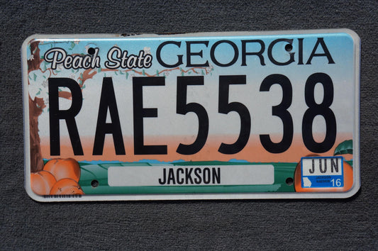 2016 Georgia PEACH STATE Colorful License Plate - RAE 5538