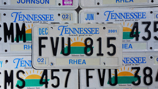 One or More - TENNESSEE SUN GRAPHIC Embossed Vintage License Plate