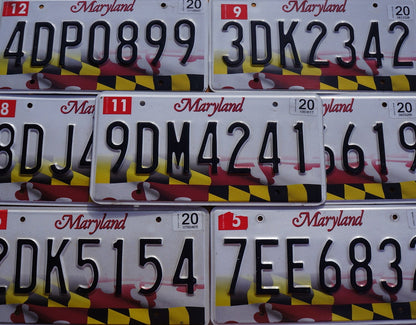 One or More - MARYLAND FLAG License Plate