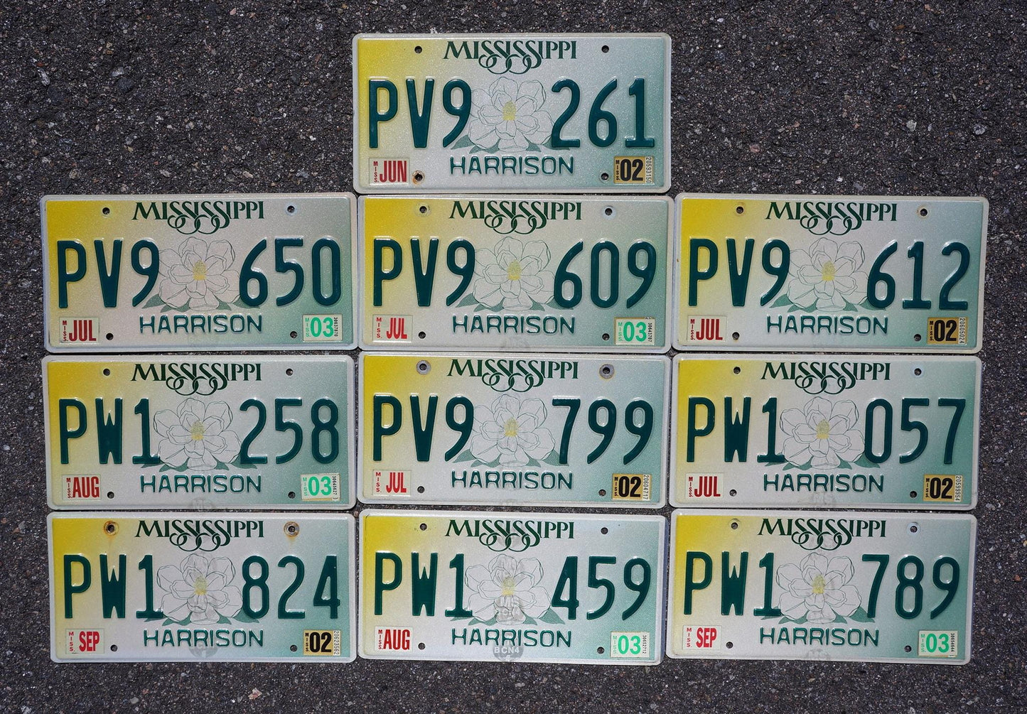 Mississippi Magnolia License Plates - Lot of 10 Graphic Tags