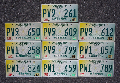 Mississippi Magnolia License Plates - Lot of 10 Graphic Tags