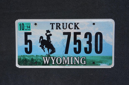 2014 Wyoming Truck Graphic Rodeo Cowboy & Horse Bucking Bronco Blue License Plate
