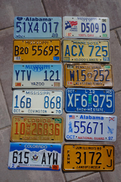 Vintage License Plates: Mixed States Lot of 12