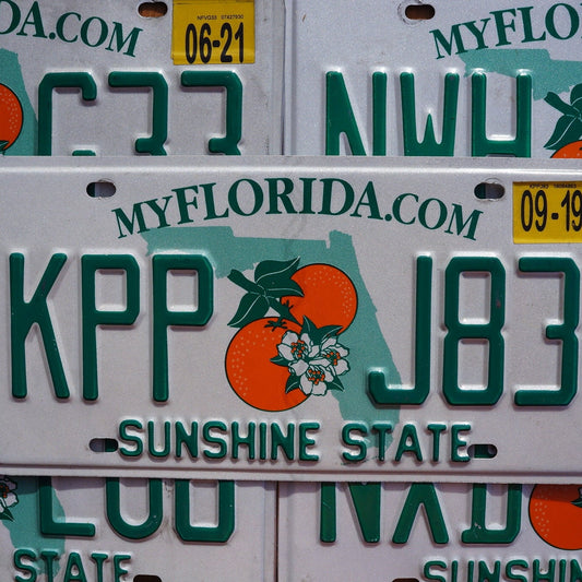 One or More - FLORIDA ORANGE License Plate - Sunshine State