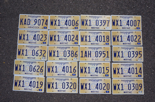 Bulk LOT OF 20 MISSISSIPPI LICENSE PLATES - STATE SEAL BROWN License Plate Tags