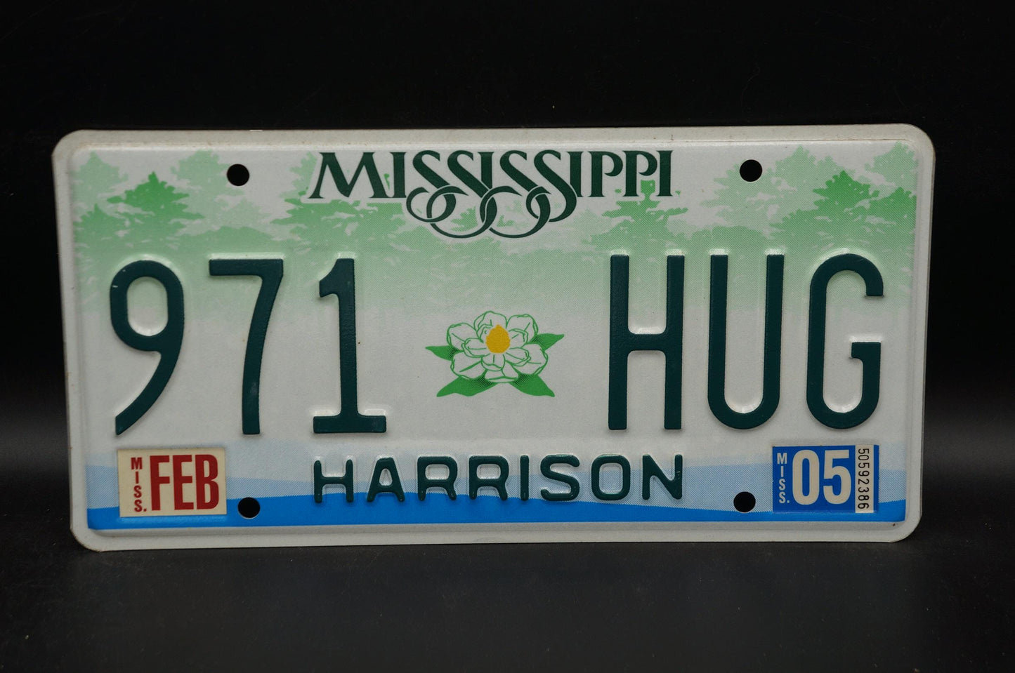 2005 Mississippi Embossed Green White Magnolia Flower License Plate # 971 HUG