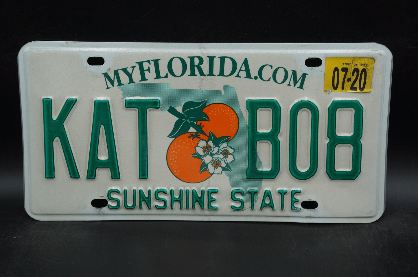 2020 Florida Double Oranges License Plate # KAT B08 - Cat Kate Katie Katherine