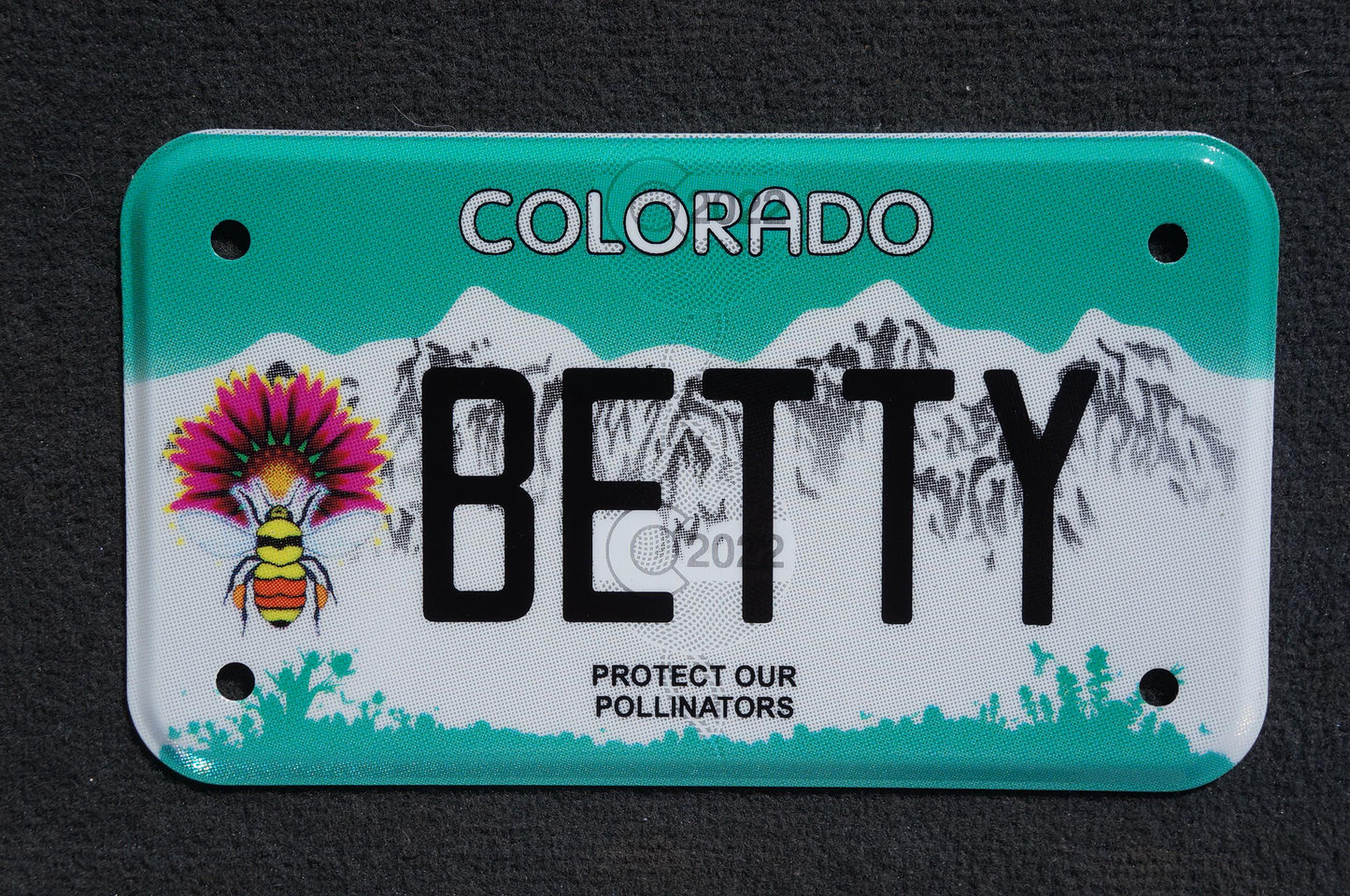 Expired Colorado Vanity MOTORCYCLE License Plate - BETTY - Elizabeth Betsy Bette Hetty