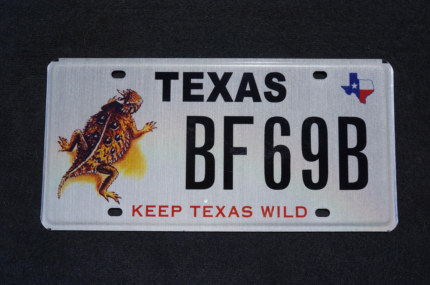 Texas License Plate LIZARD HORNY TOAD - Keep Texas Wild