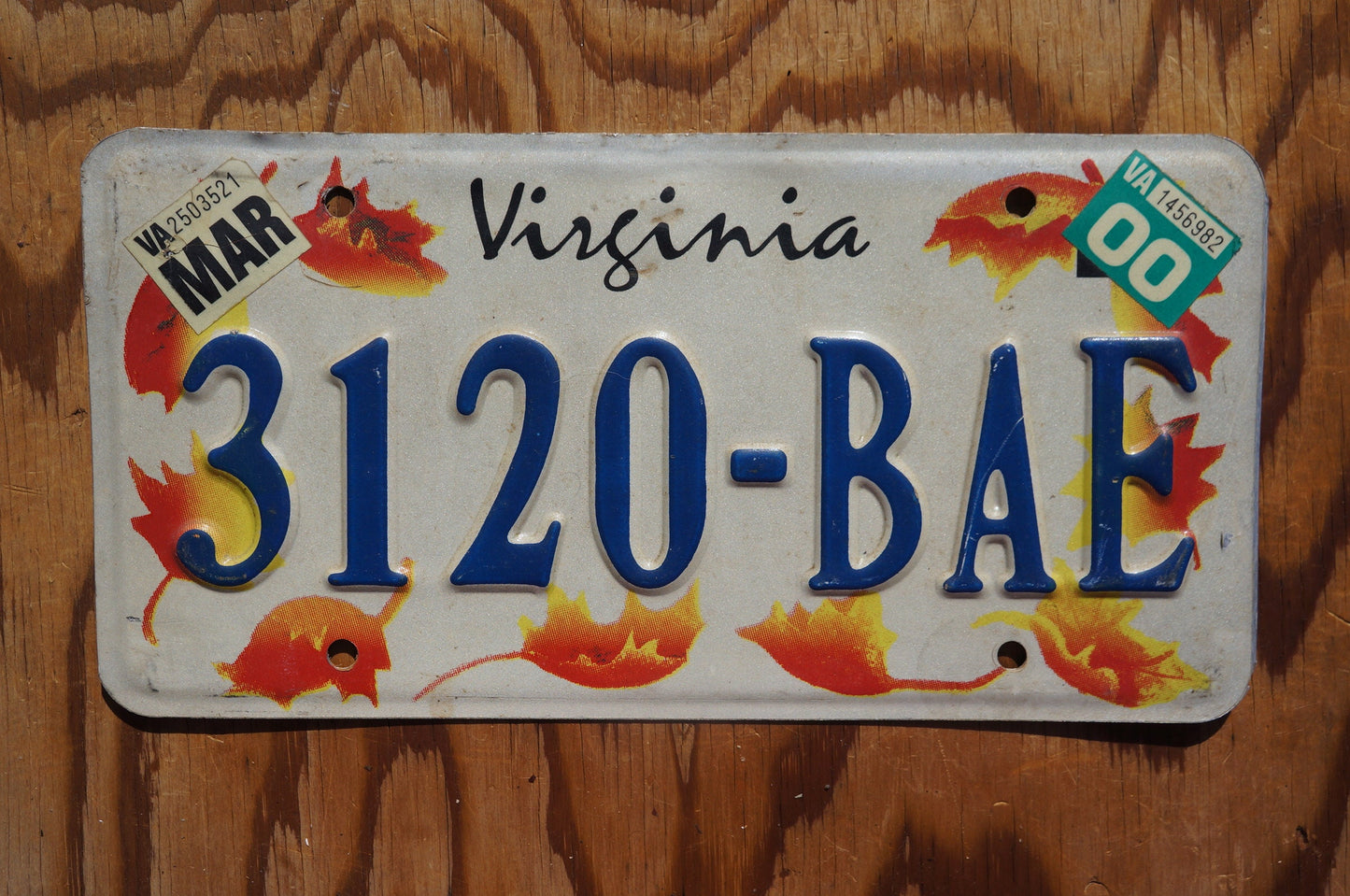 2000 Virginia Orange FALL LEAVES License Plate Autumn Decoration