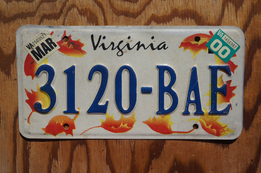 2000 Virginia Orange FALL LEAVES License Plate Autumn Decoration