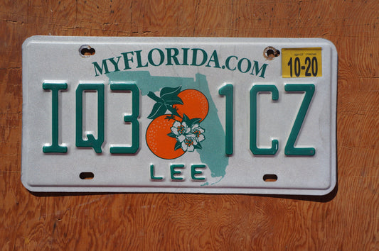 2020 Florida LEE County Double Oranges License Plate