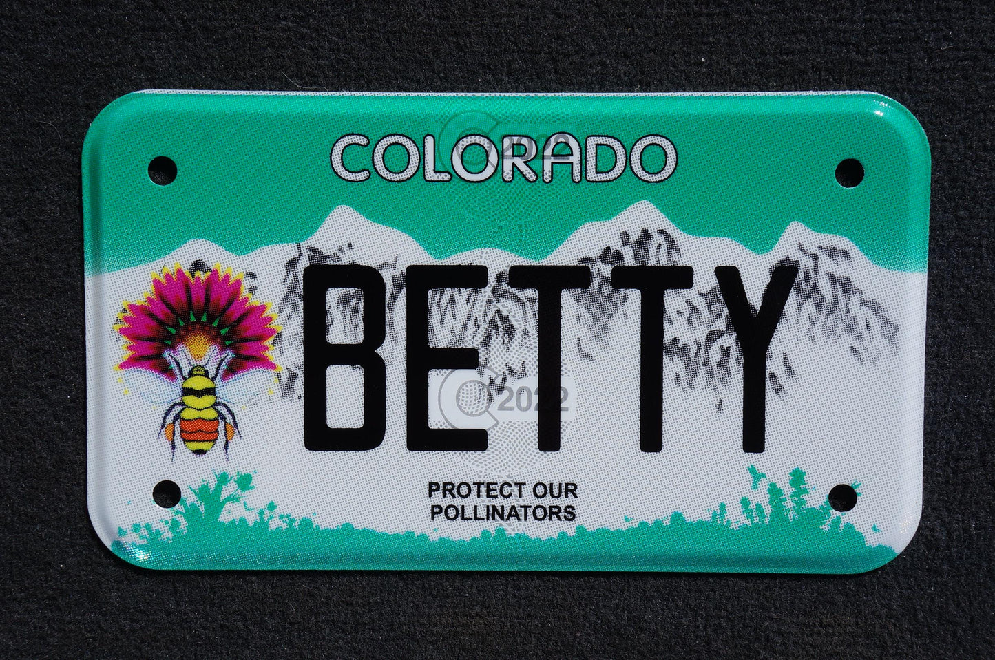 Expired Colorado Vanity MOTORCYCLE License Plate - BETTY - Elizabeth Betsy Bette Hetty