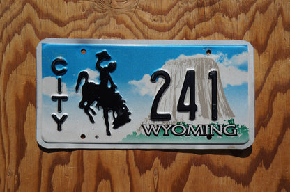 Wyoming CITY Rodeo Cowboy & Horse License Plate # 241
