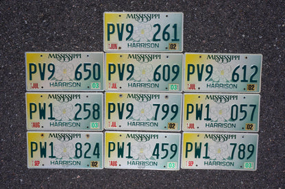 Mississippi Magnolia License Plates - Lot of 10 Graphic Tags