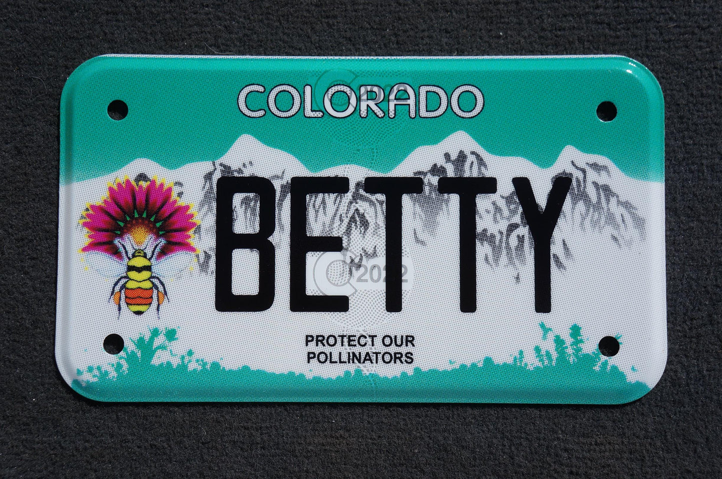 Expired Colorado Vanity MOTORCYCLE License Plate - BETTY - Elizabeth Betsy Bette Hetty