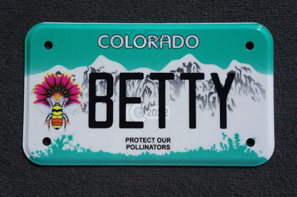 Expired Colorado Vanity MOTORCYCLE License Plate - BETTY - Elizabeth Betsy Bette Hetty