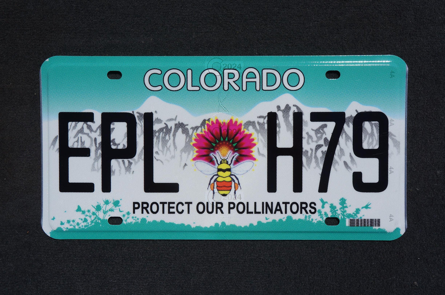 2024 Colorado Bee Flower License Plate: Protect Our Pollinators