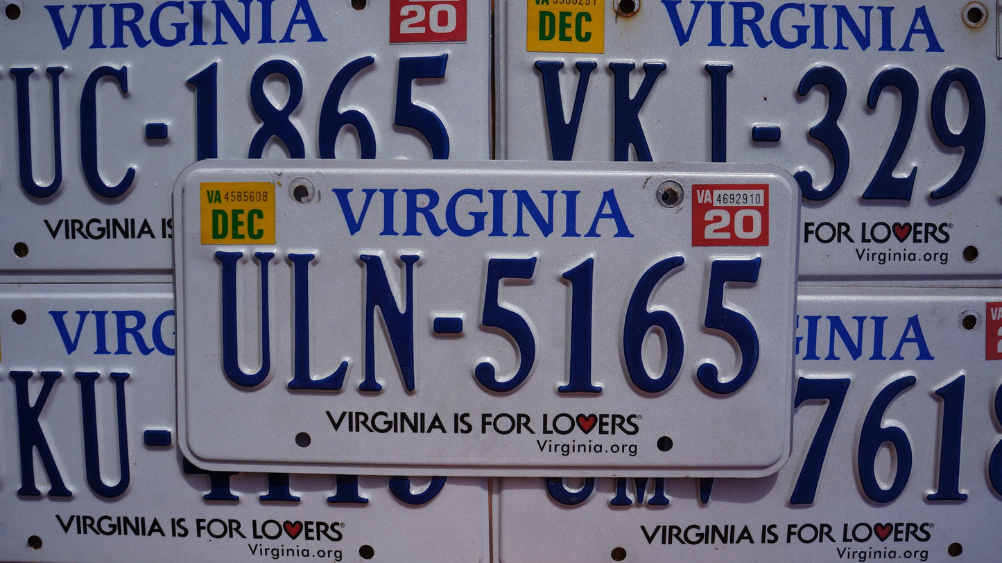 One or More - VIRGINIA License Plate - Virginia is for Lovers