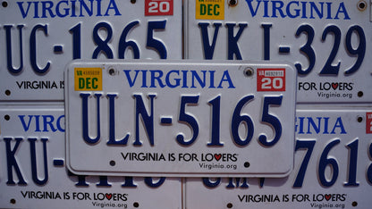 One or More - VIRGINIA License Plate - Virginia is for Lovers