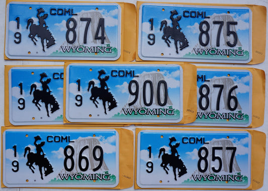 One or More Embossed WYOMING Cowboy & Horse Commercial License Plate + Envelope