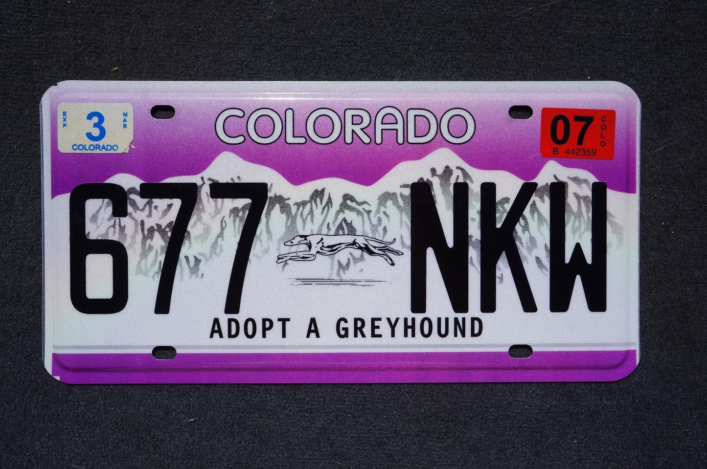 2007 Colorado ADOPT A GREYHOUND License Plate - Dog