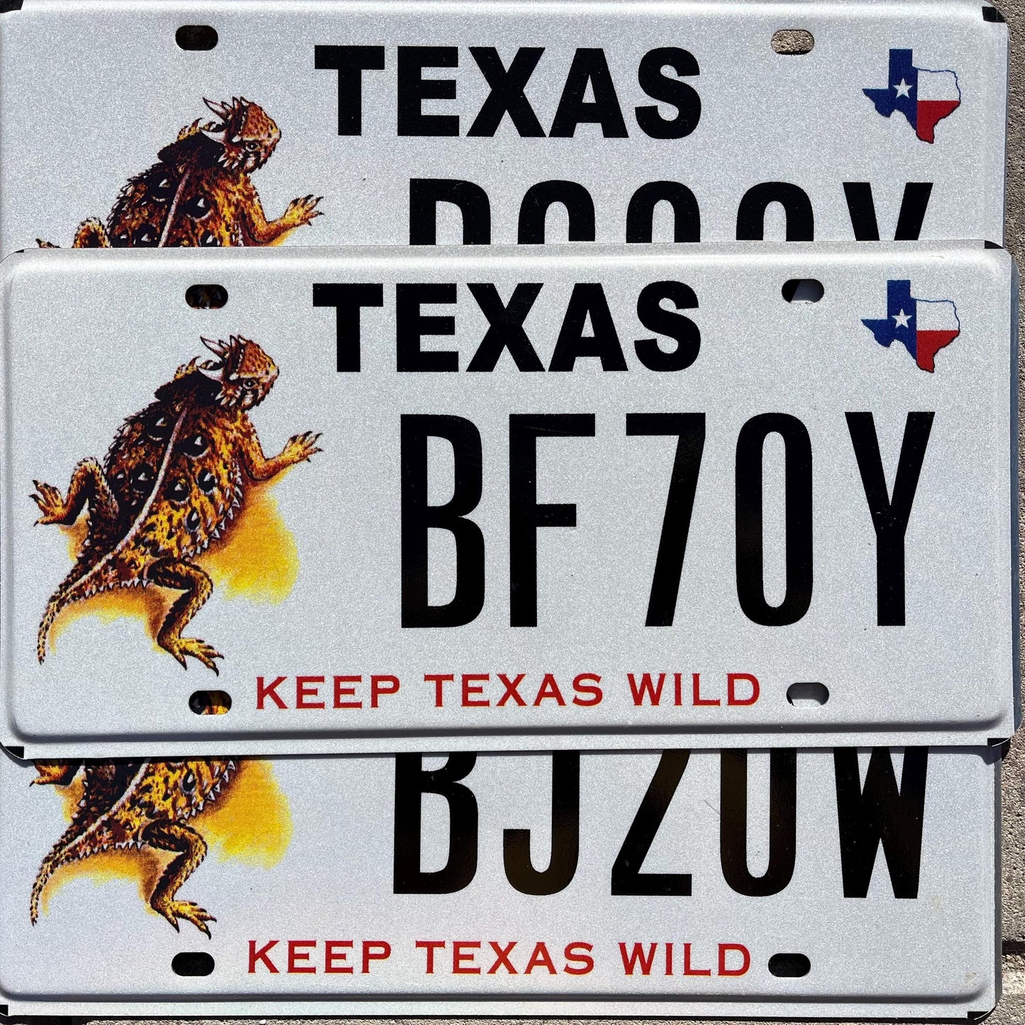 Texas Horny Toad Graphic License Plate: Keep Texas Wild
