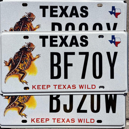 Texas Horny Toad Graphic License Plate: Keep Texas Wild