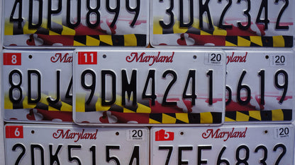 One or More - MARYLAND FLAG License Plate