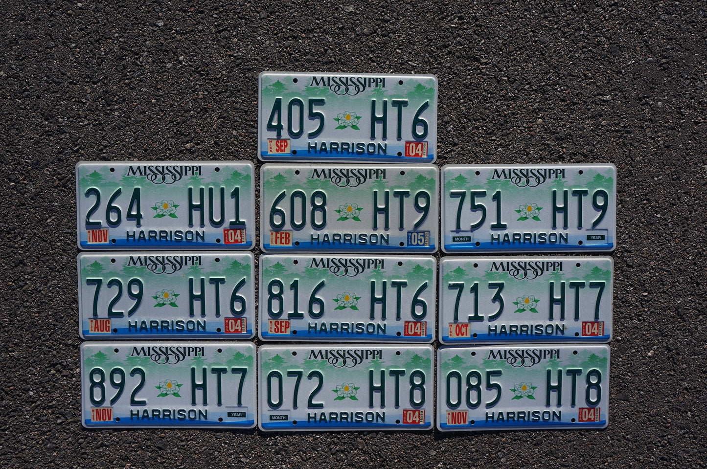 Mississippi Magnolia License Plates - Lot of 10 Embossed Tags