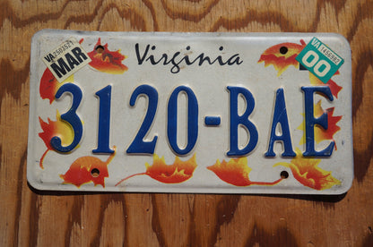 2000 Virginia Orange FALL LEAVES License Plate Autumn Decoration