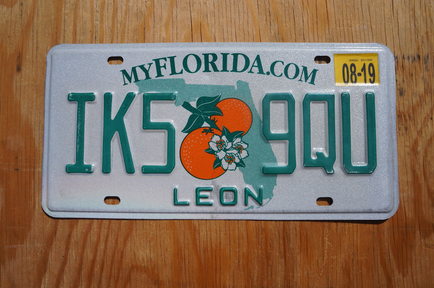 2019 Florida LEON County Twin Oranges License Plate