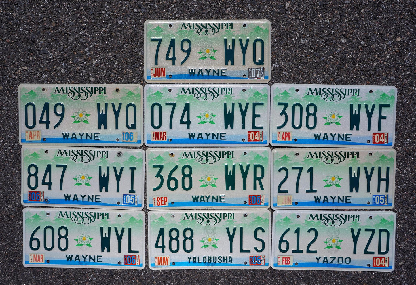 Mississippi Magnolia License Plates - Lot of 10 Embossed Tags