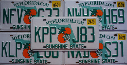 One or More - FLORIDA ORANGE License Plate - Sunshine State
