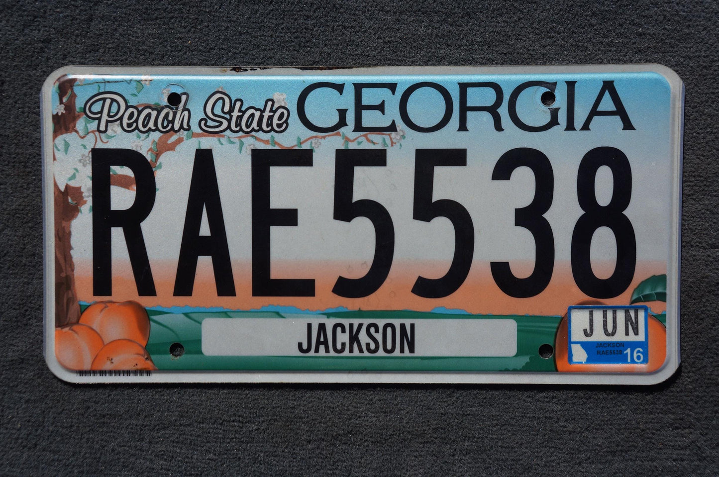2016 Georgia PEACH STATE Colorful License Plate - RAE 5538
