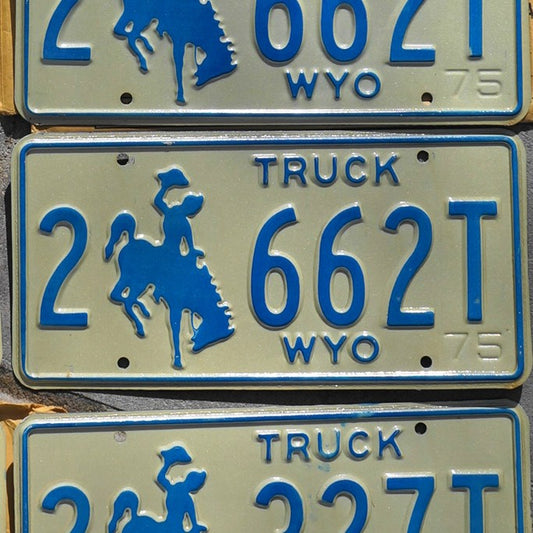 1975 WYOMING LICENSE PLATES - TRUCK BLUE COWBOY HORSE EMBOSSED License Plate Tag