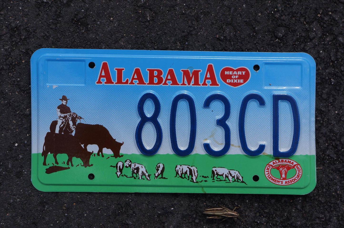 Alabama CATTLEMAN'S ASSOICIATION Graphic License Plate - farming cows horses
