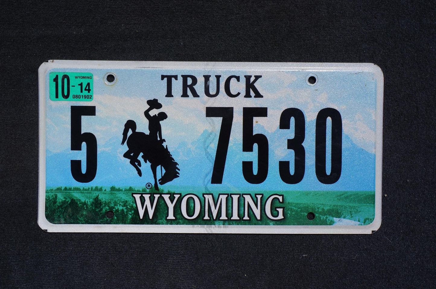 2014 Wyoming Truck Graphic Rodeo Cowboy & Horse Bucking Bronco Blue License Plate