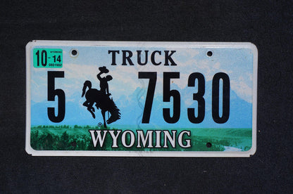 2014 Wyoming Truck Graphic Rodeo Cowboy & Horse Bucking Bronco Blue License Plate