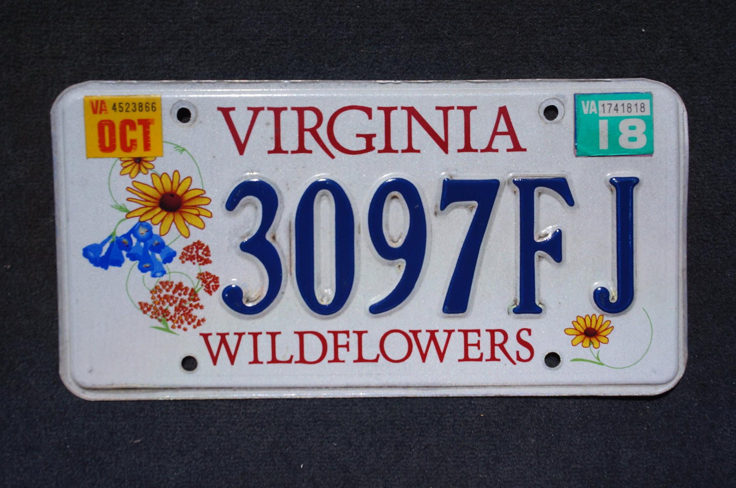 2018 Virginia WILDFLOWERS Graphic License Plate