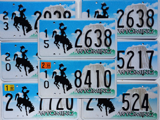 One or MORE Embossed WYOMING Cowboy & Horse PASSENGER License Plate Tags
