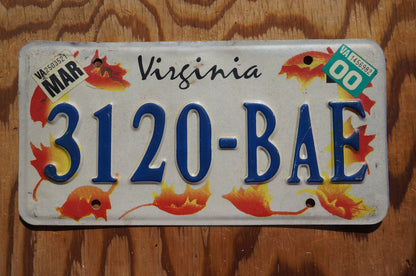 2000 Virginia Orange FALL LEAVES License Plate Autumn Decoration