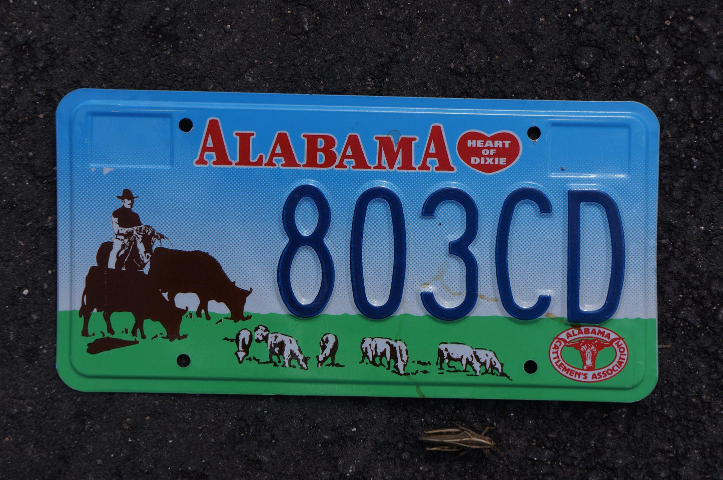 Alabama CATTLEMAN'S ASSOICIATION Graphic License Plate - farming cows horses