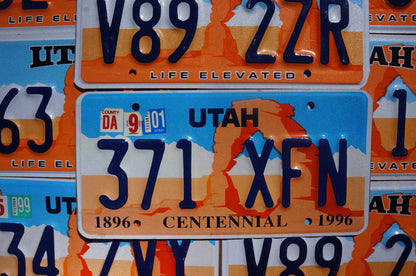 One or More - UTAH ORANGE ARCHES License Plate