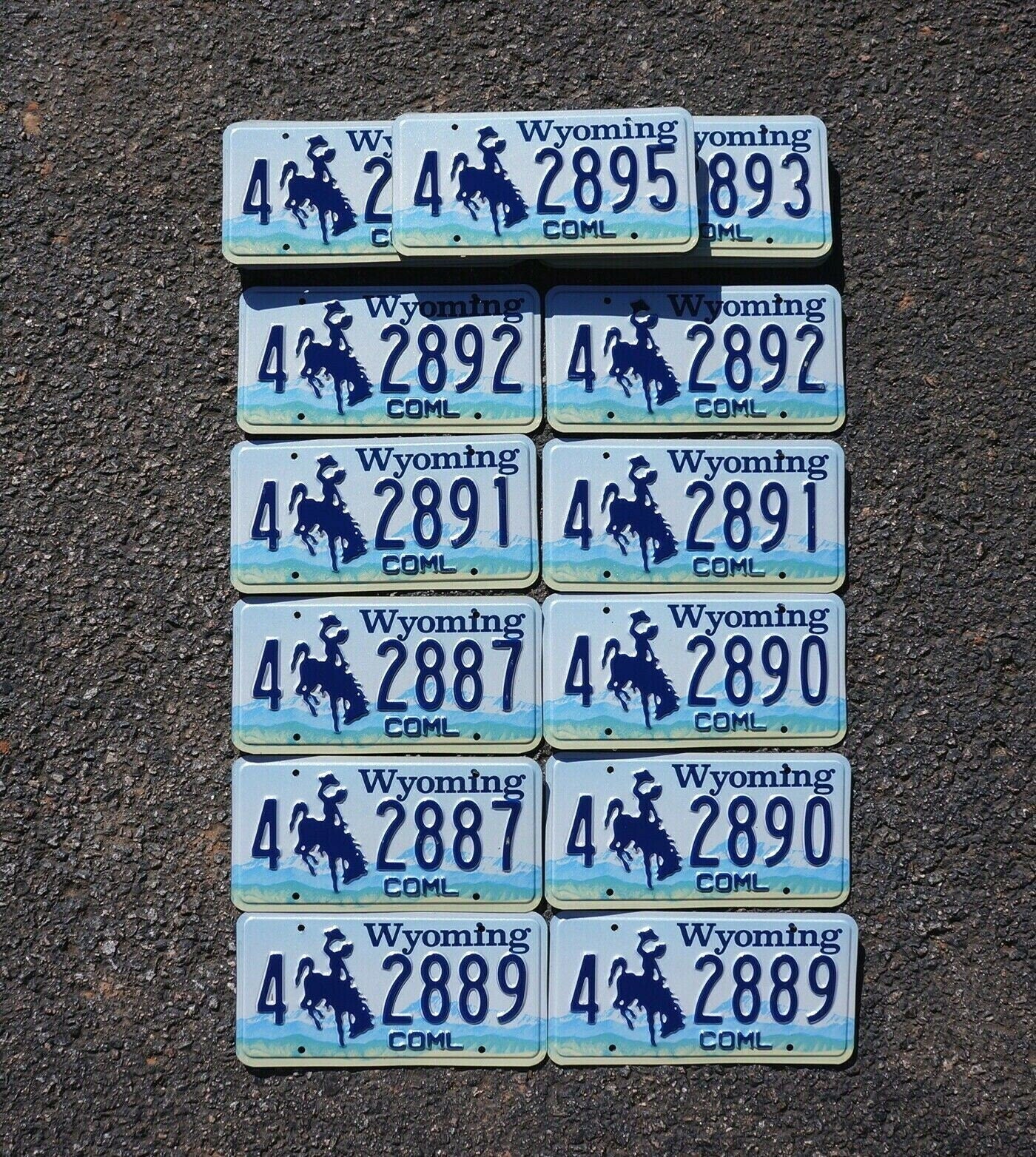 Wyoming License Plates - Lot of 10 Cowboy Horse Plates