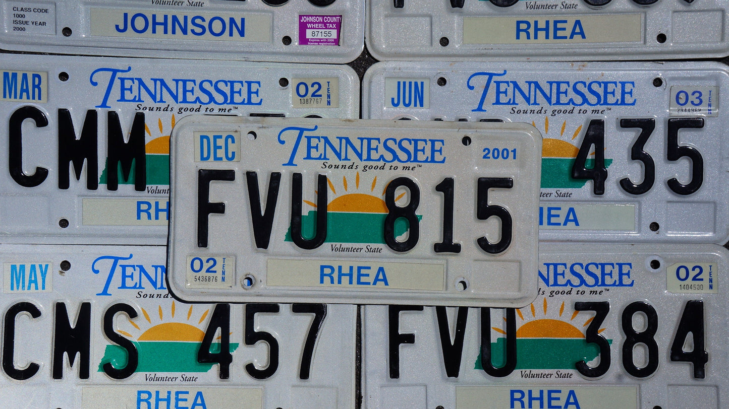 One or More - TENNESSEE SUN GRAPHIC Embossed Vintage License Plate