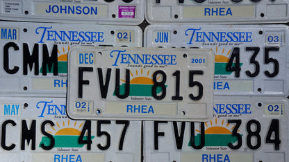One or More - TENNESSEE SUN GRAPHIC Embossed Vintage License Plate