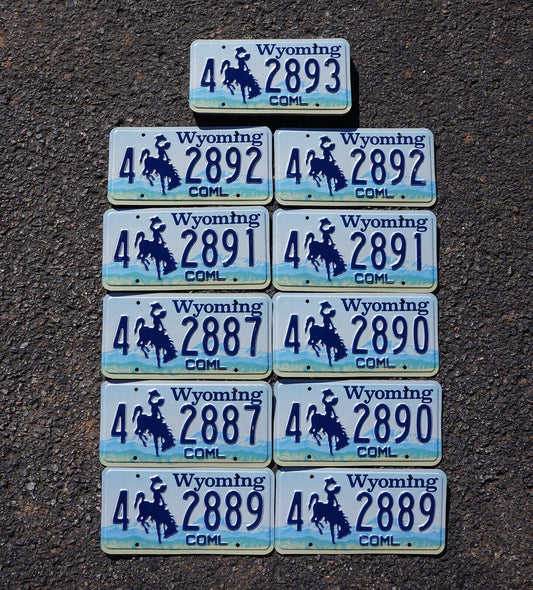 Lot of 20 Wyoming License Plates